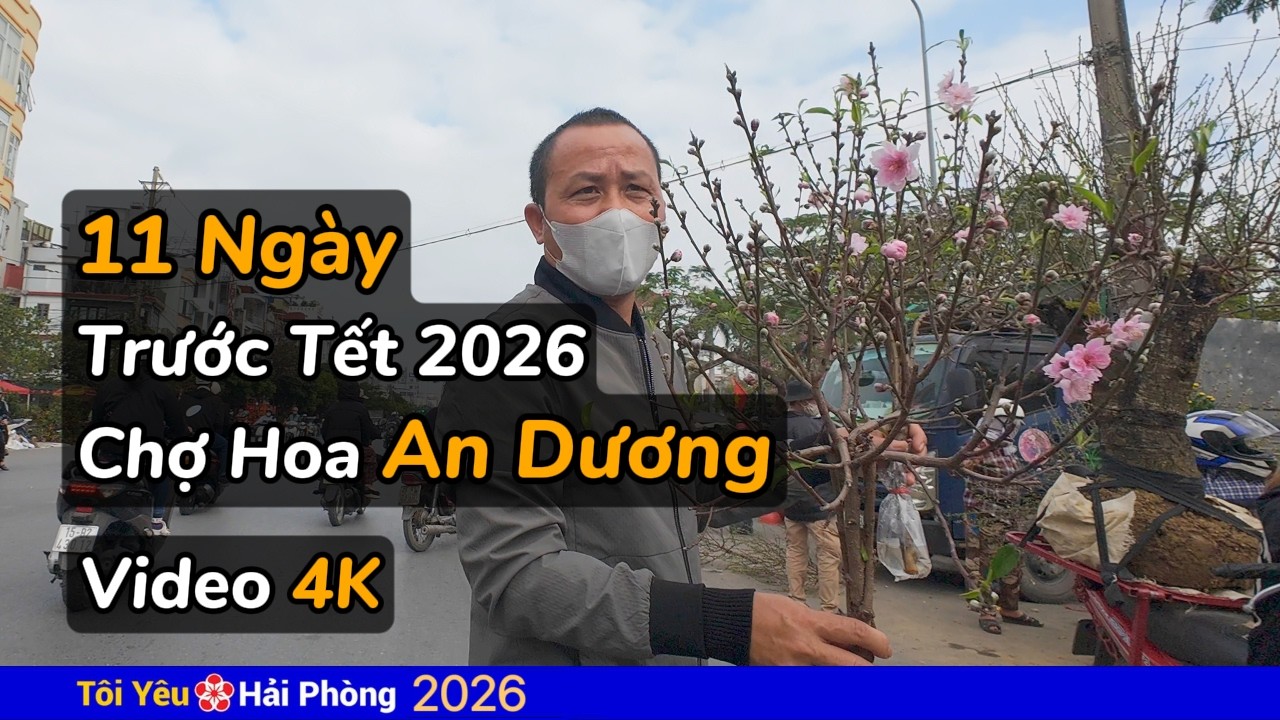 Chợ hoa An Dương | 11 ngày trước Tết năm 2026 ở Hải Phòng