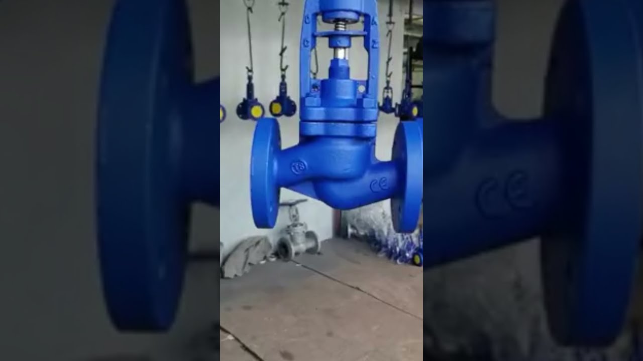 DIN bellows globe valve