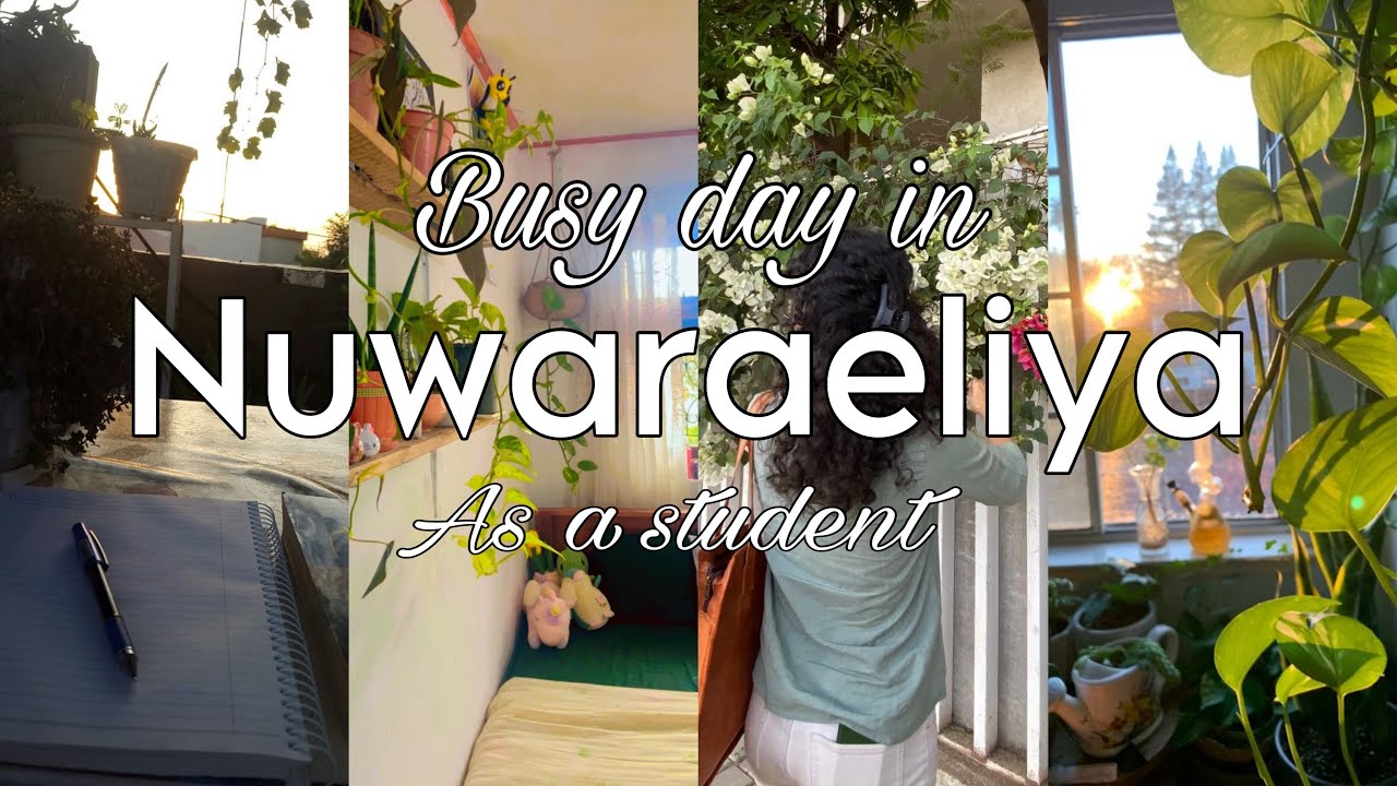 10days study challenge | day05|⛈️🌿📚නුවරඑලියෙ වැස්ස දවසක study කරමුද| study vlog srilanka