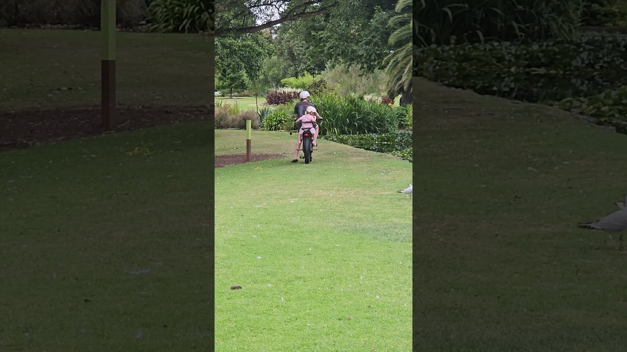Nice to see the mother & kids adventure 