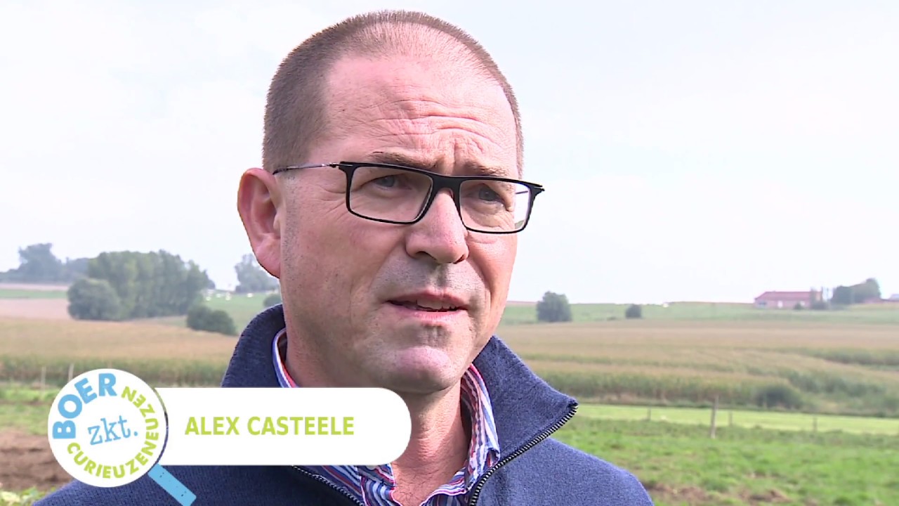 SchoonBoeren kalkoenen Casteele