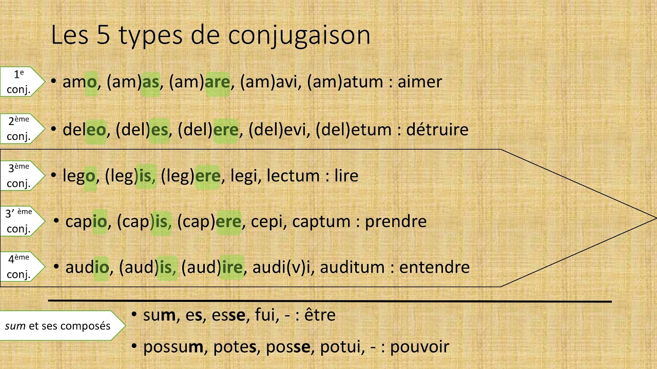 Les 5 types de conjugaison en latin