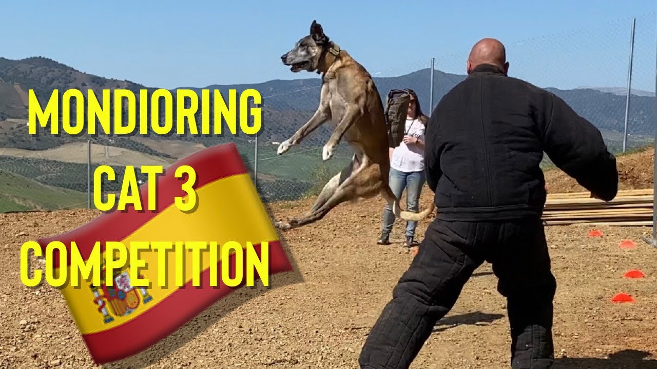 Mondioring Grade 3 competition - Alhaurin de la Torre Spain
