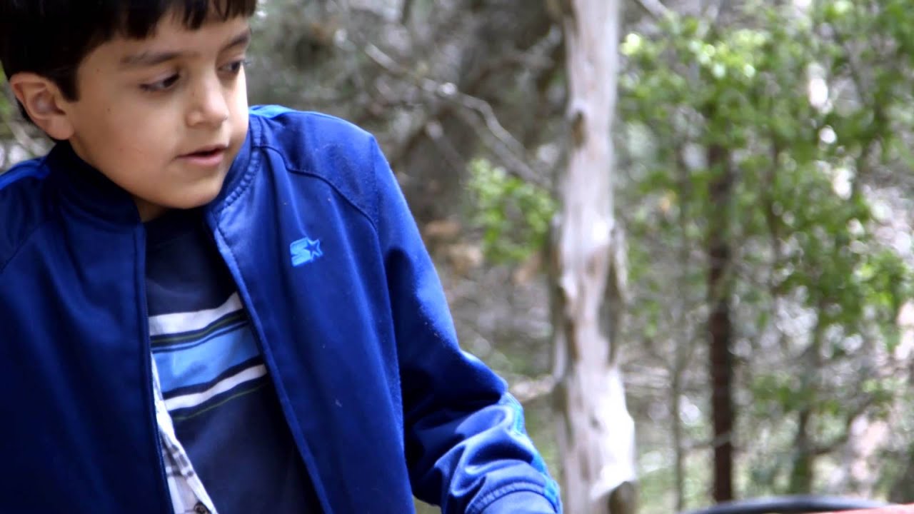 The Austin Waldorf School