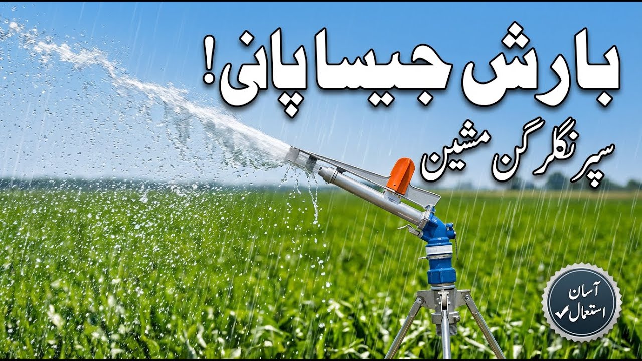 سپرنگلر گن کیسے چلائیں؟ | بارش جیسی آبپاشی | اصل کسٹمر ریویو