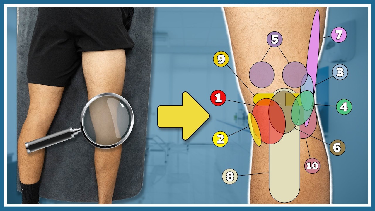 Pain in the back of your knee explained - 10 most common causes and solutions