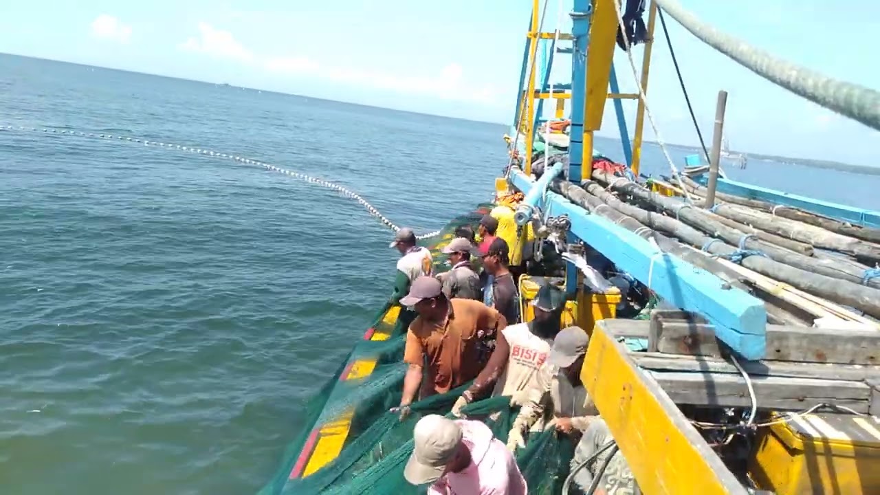 Nalayan Pasuruan dapat ikan Kurau(Sumbal)