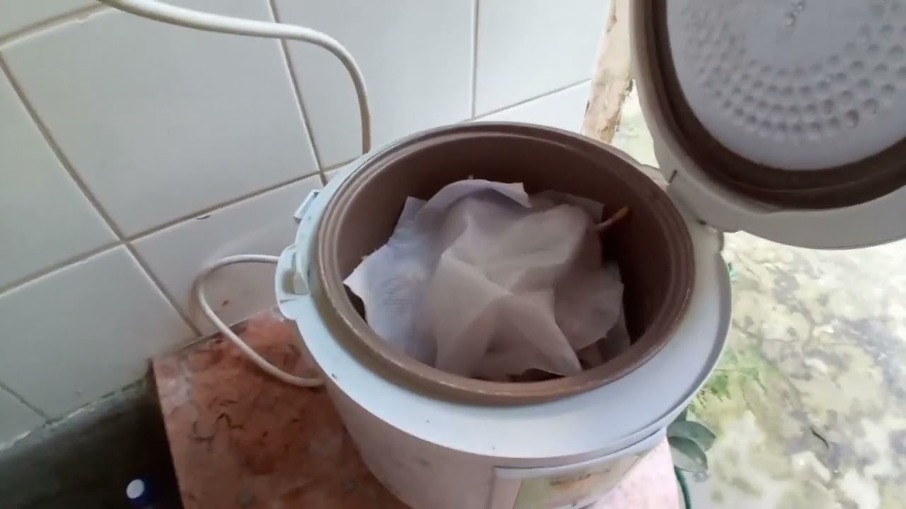 Preparei alho 🧄 negro em casa.