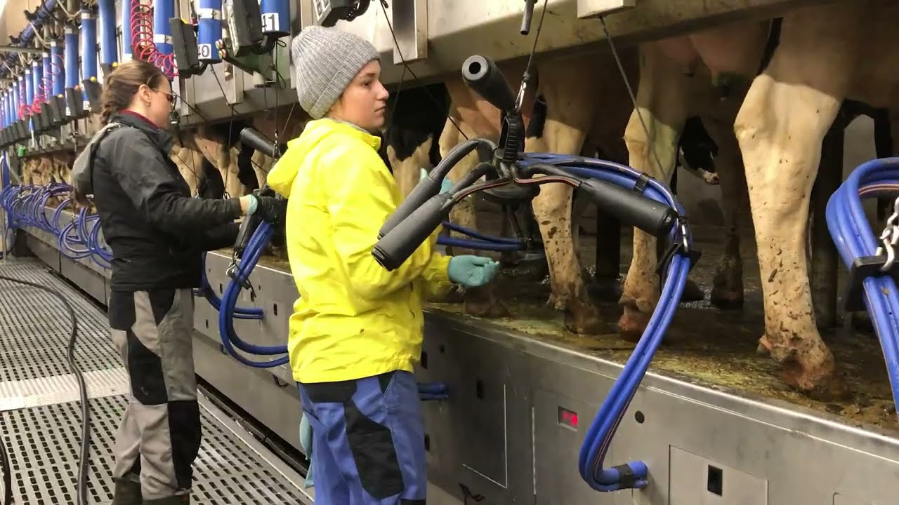 Harvest Queen on Wheels: Discover the Magic of Farming 🚜✨
