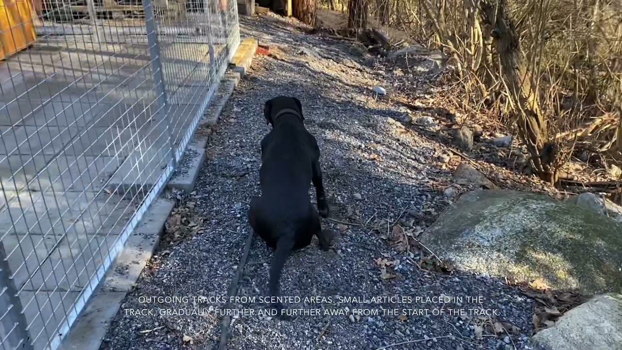 From indication to tracking
