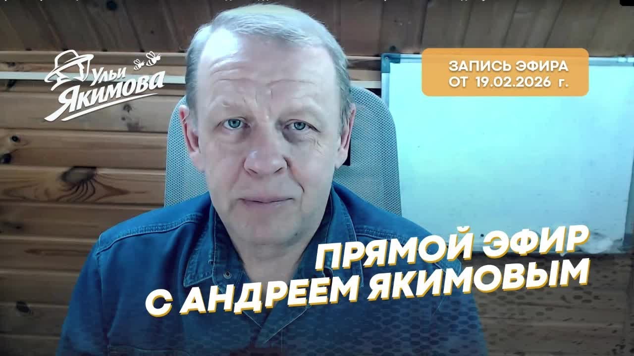 Прямой эфир с Андреем Якимовым