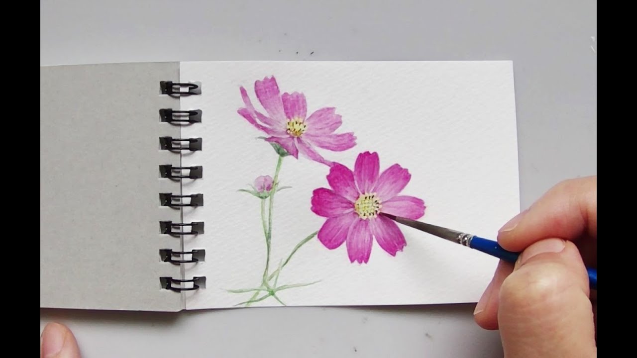 秋なのでコスモスを描きました