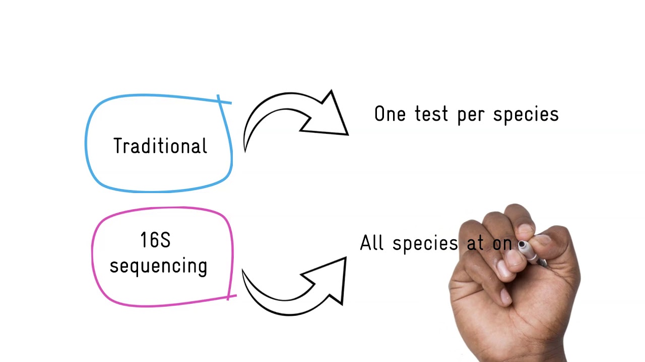 What is 16S sequencing ?