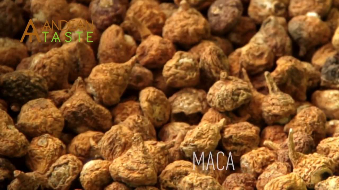 Obtención de Harina de Maca Orgánica  - Andean Taste