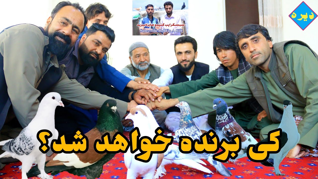 بخت و طالع|کی برنده خواهد شد|گپ های نگفته ی، خلیفه احمد،ماماشاه حسین و نجیب زورخانه|حق به حقدار رسید