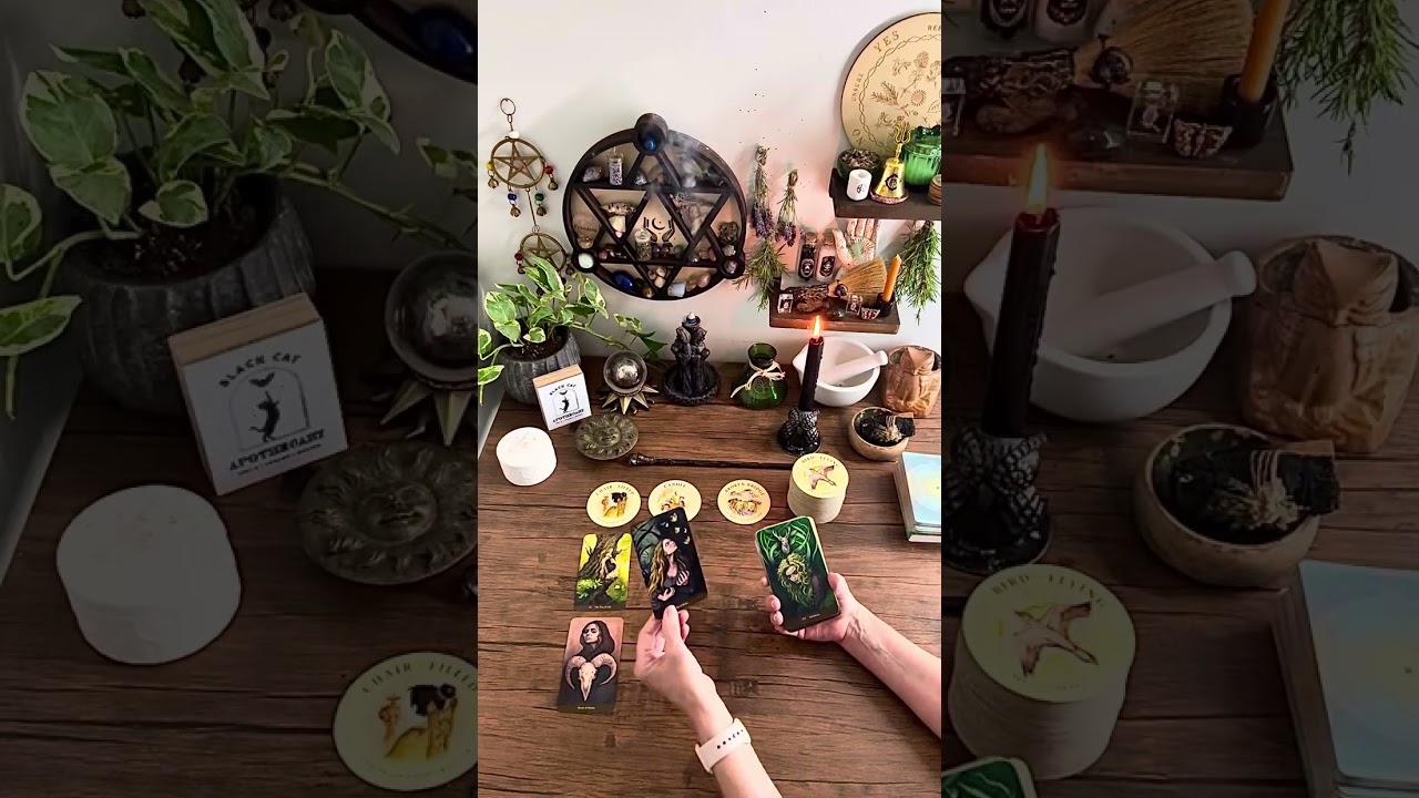 🔥 Leo — Closing Out the Toxic Cycle to Begin Your New Journey ✨