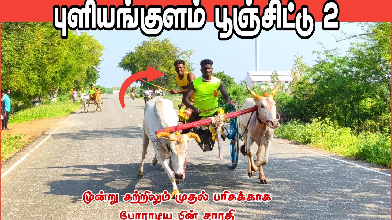 புளியங்குளம் கிராம பொது மக்களால் நடத்தப்பட்ட பந்தயம்