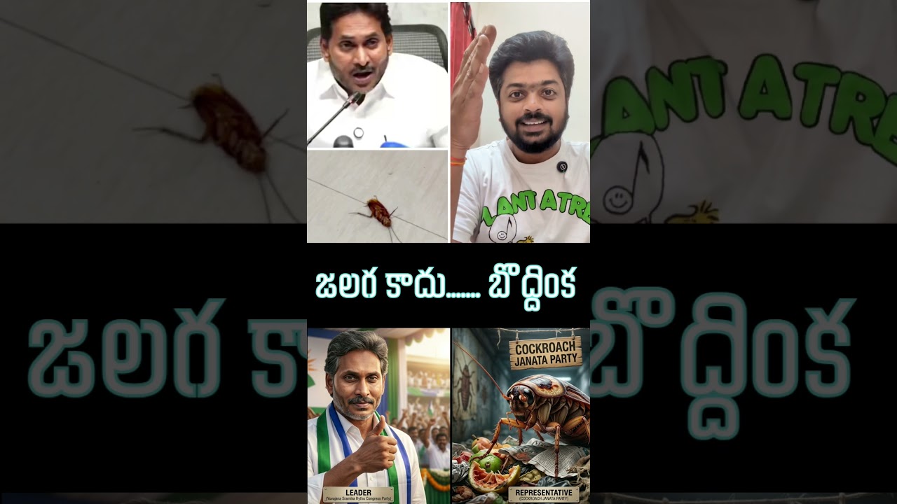 YS Jagan Press meet | Comparision With Cockroach Janata Party #pawankalyan #chandrababu #naralokesh
