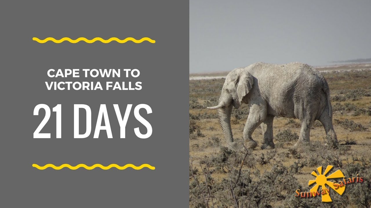 21 Day Cape Town to Victoria Falls Safari Tour (overland) - Small Group