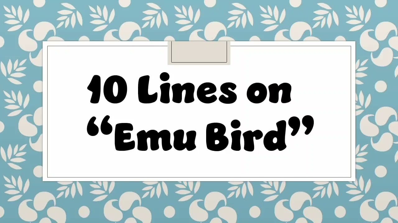10 Lines on Emu Bird/Few Lines on Emu Bird/Short essay on Emu Bird/Paragraph on Emu Bird /Emu Bird