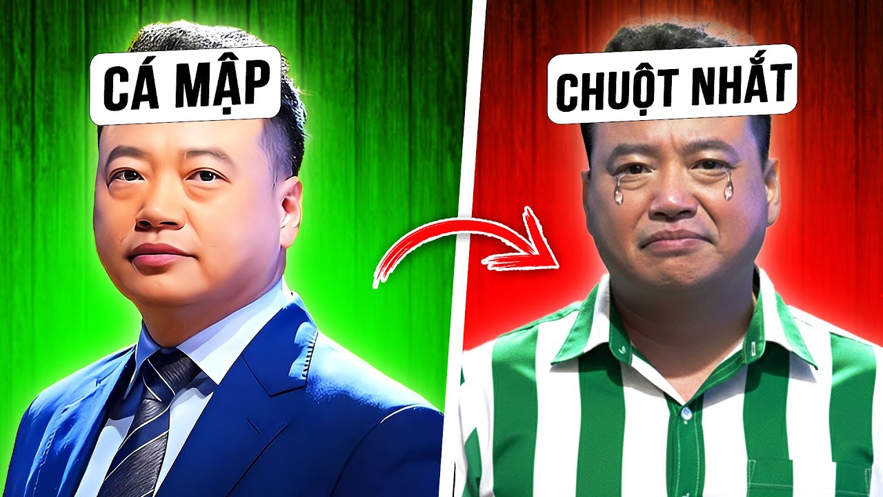 TỪ CÁ MẬP BẠC TỶ ĐẾN ÔNG TRÙM LỪA ĐẢO - SHARK BÌNH