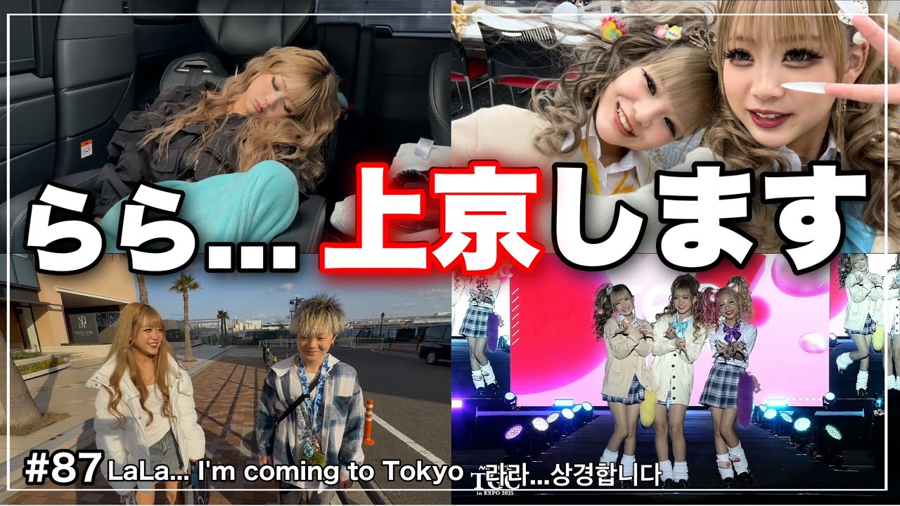熊本→東京→大阪　大移動するらら🩵
