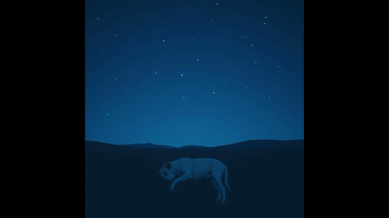 【いぬ専用セラピー音楽】3月13日わん｜Therapeutic music for dogs