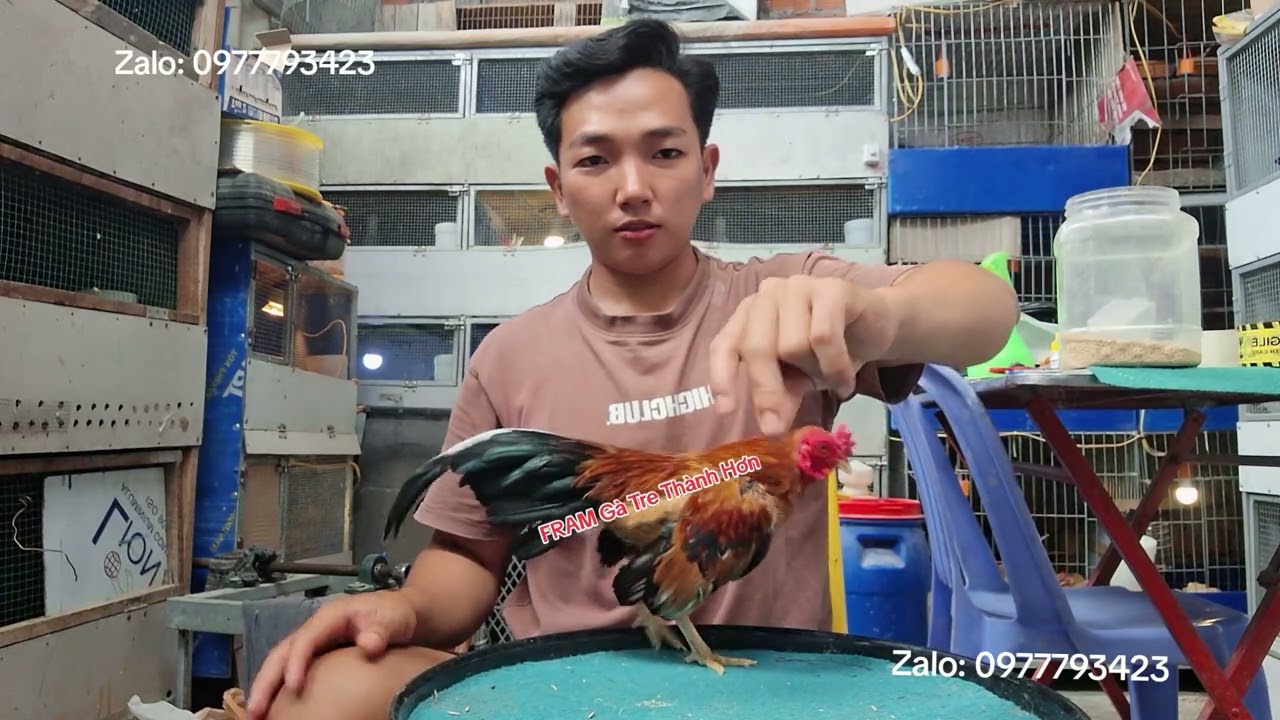 Giao lưu ae 1 Trống Tre Bắc đẹp 