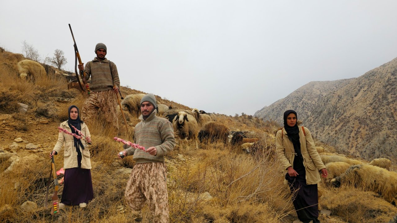 IRAN nomadic life: 🐑Daily routine nomadic life in the mountains | Nomadic lifestyle of Iran🌄