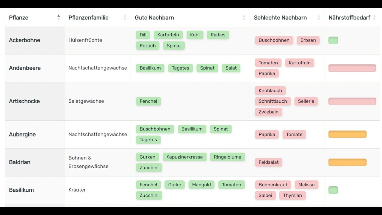Mischkulturtabelle: Die besten Pflanzkombinationen für deinen Garten