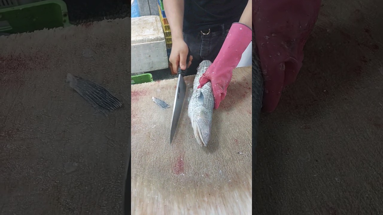 Have you ever seen (lizardfish) being cleaned?