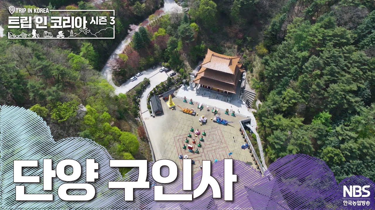 단양 구인사 | 🗺️트립인코리아 시즌3 단양🧄