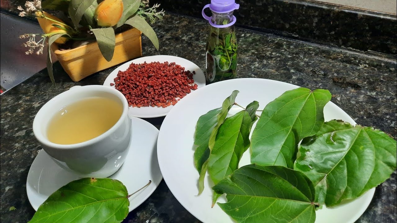 CHÁ  DAS FOLHAS DO URUCUM  E SUAS PROPRIEDADES