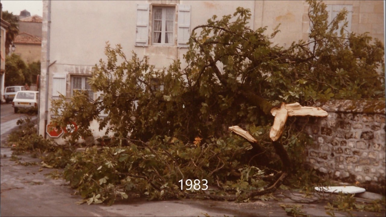 VILLEBOIS-LAVALETTE
