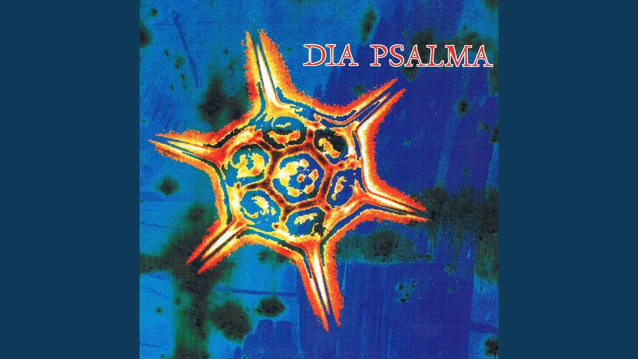 Hundra Kilo K&auml;rlek