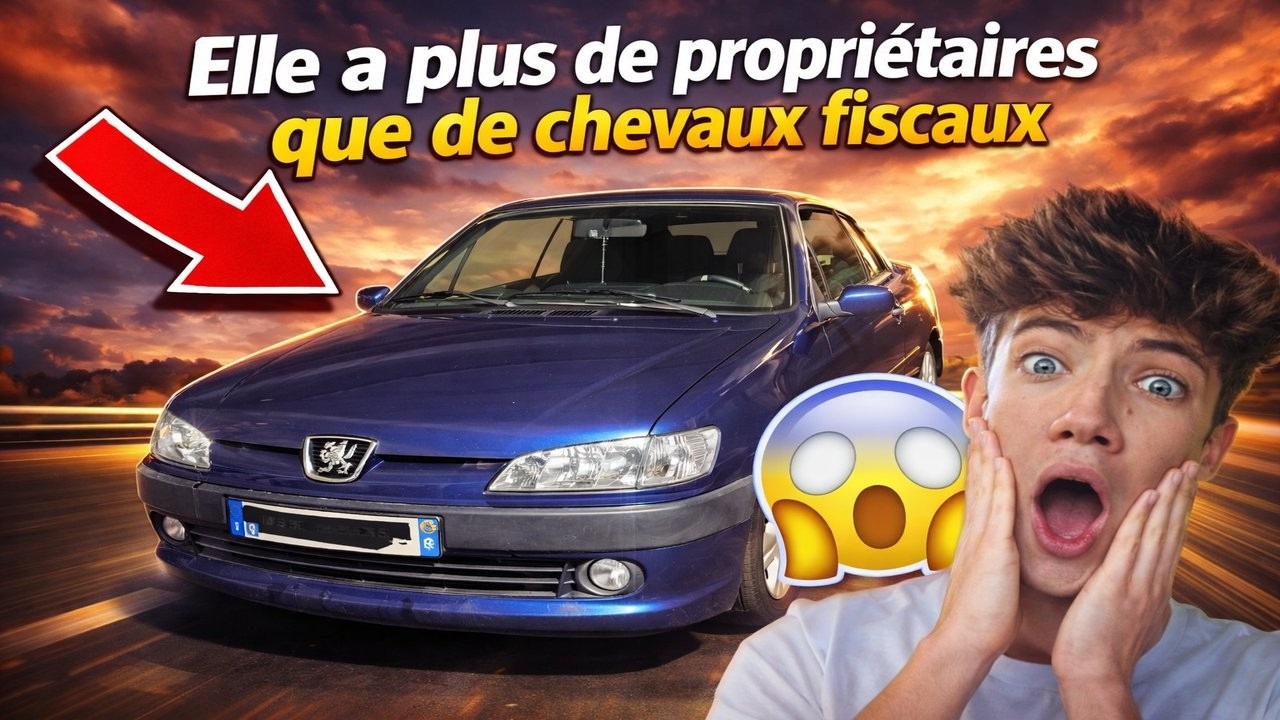elle a plus de proprios que de chevaux fiscaux