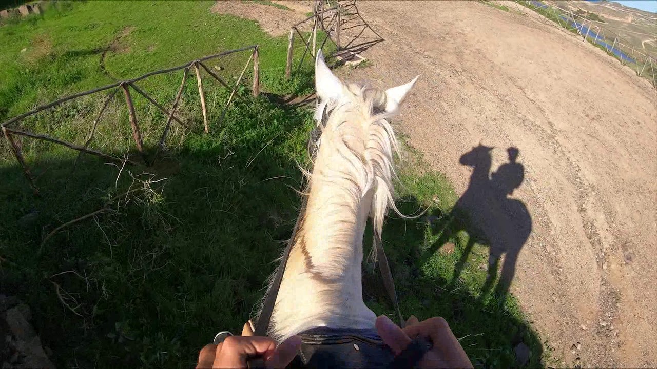 ilha de Porto Santo - Horse ride