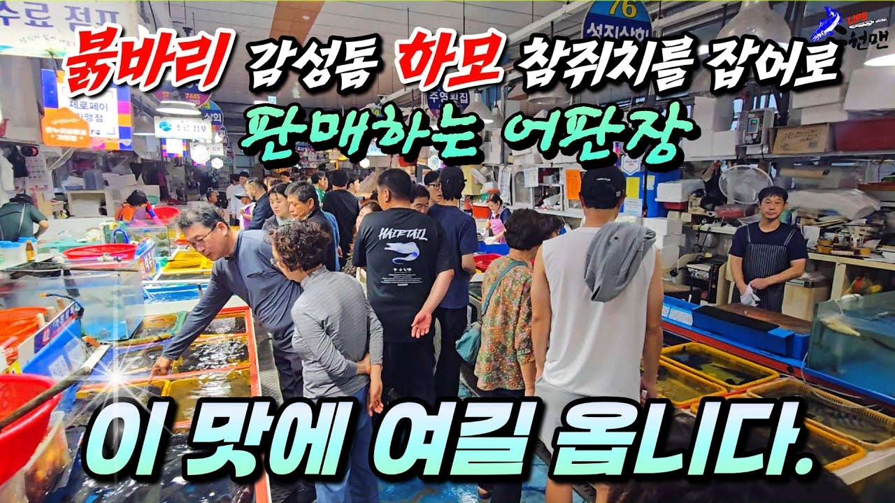 ☆비교불가 자연산 모듬회 끝판왕!!! 이곳은 빠지고 또 빠져도 괜찮습니다 ~~ ㅋㅋㅋ