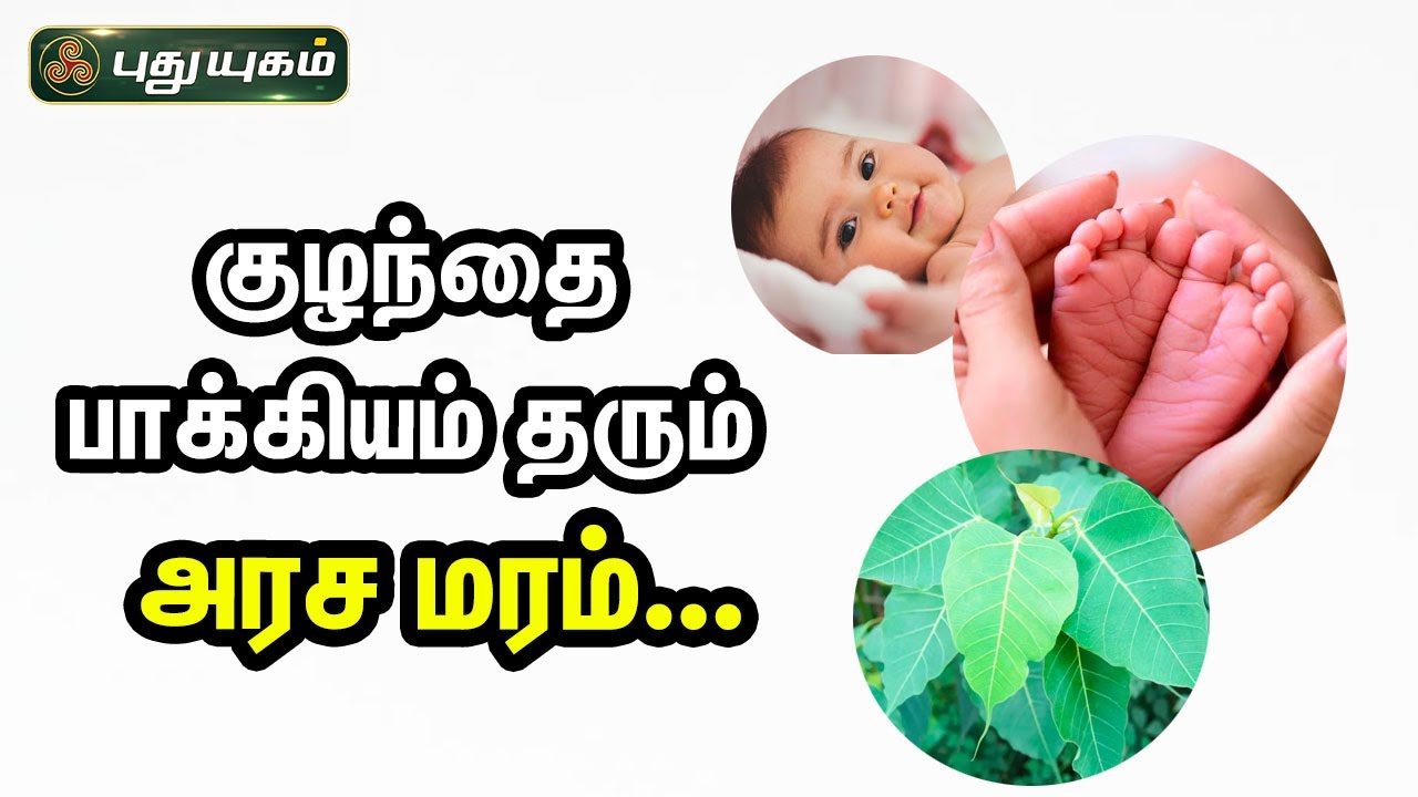 குழந்தை பாக்கியம் தரும் அரச மரம் ..! |Dr.M.S.UshaNandhini 25/08/2023 #puthuyugamtv