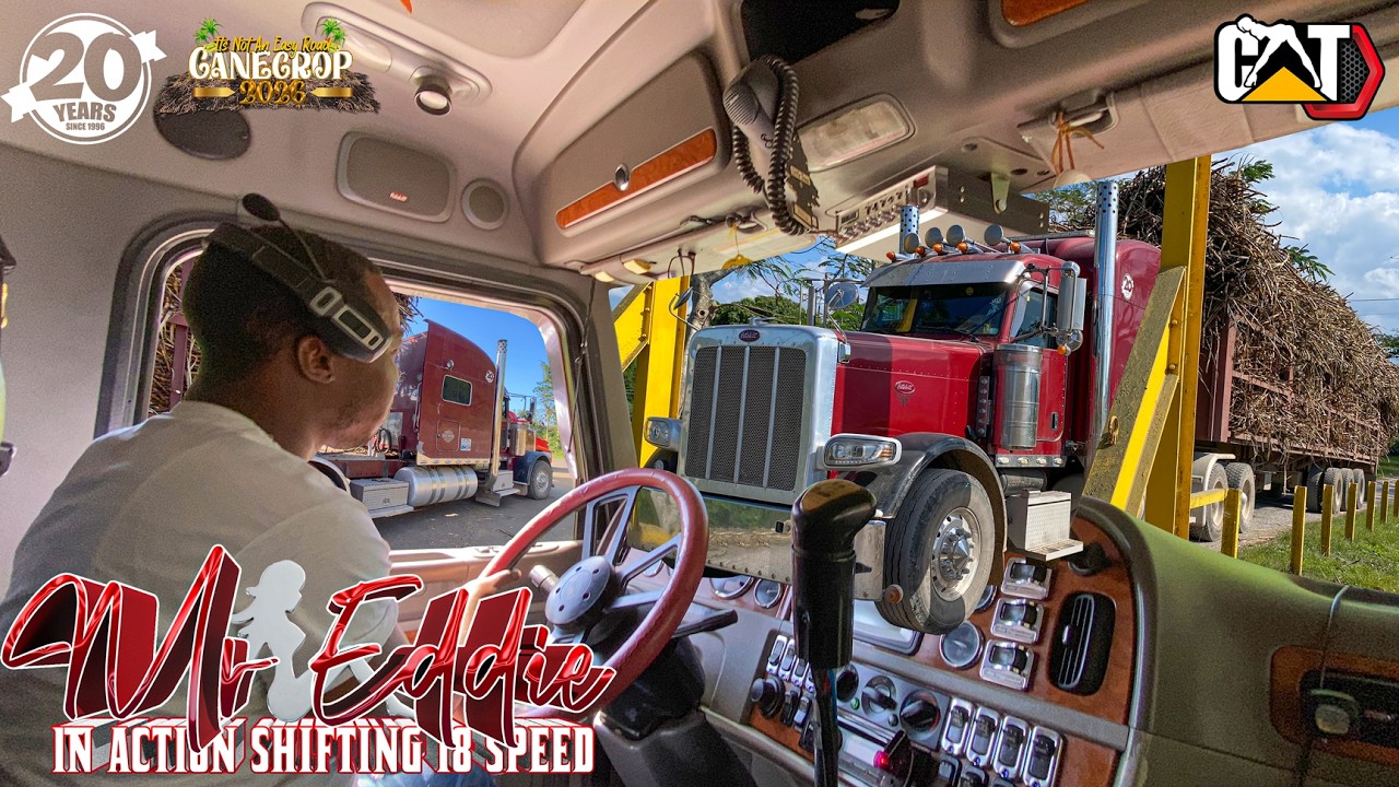 Mr Eddie In Action | Shifting 18 Speed | Peterbilt 389 | Cat Acert | Cane Crop 26 | Jamaican Trucker