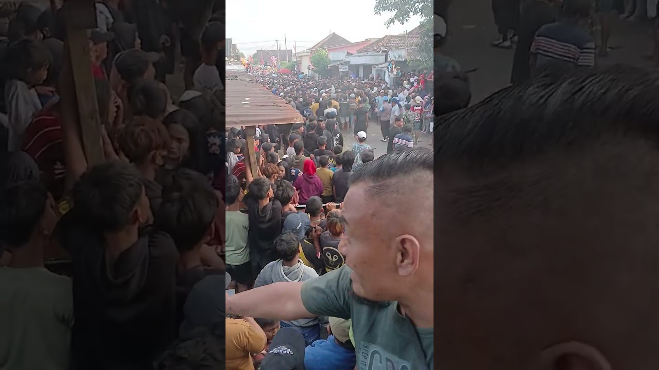 Geger penontone jaranan New Bagaskoro Ringinsari Padangan