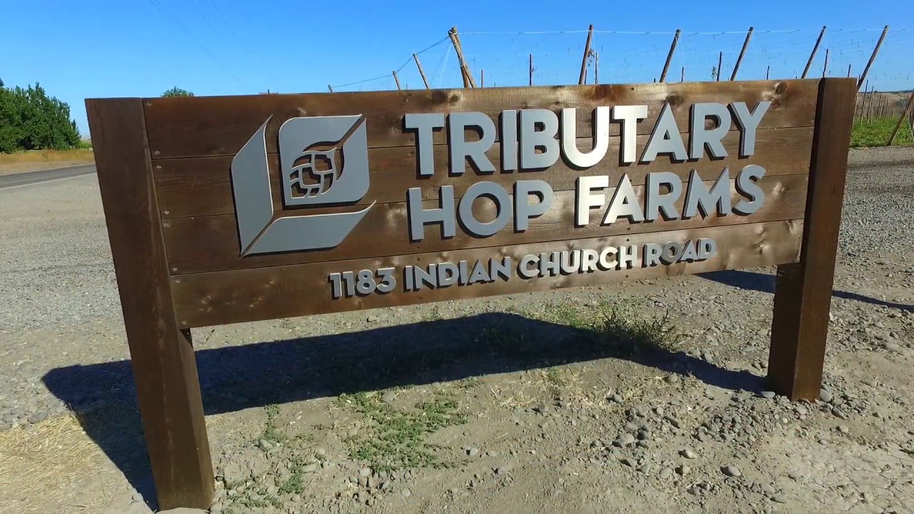 Tributary Hop Ranch owned and operated by B.T. Loftus Ranches