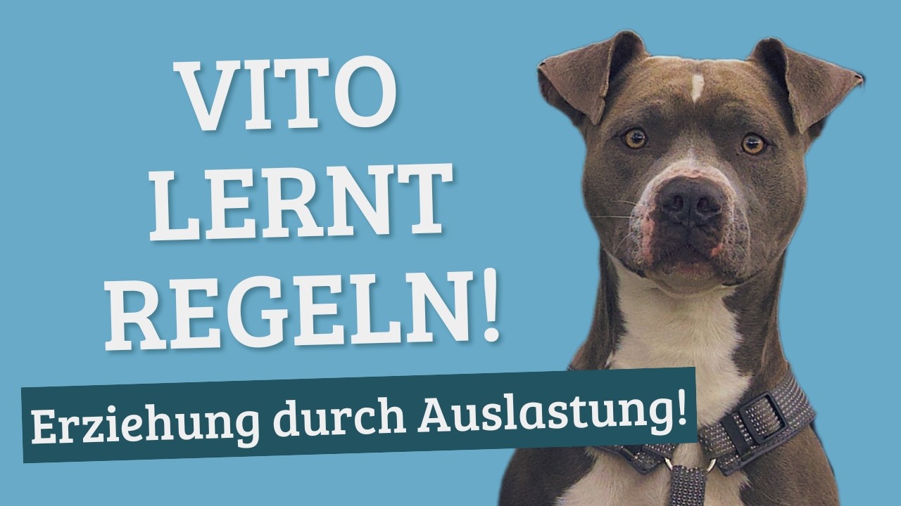 Erziehung durch Beschäftigung – 