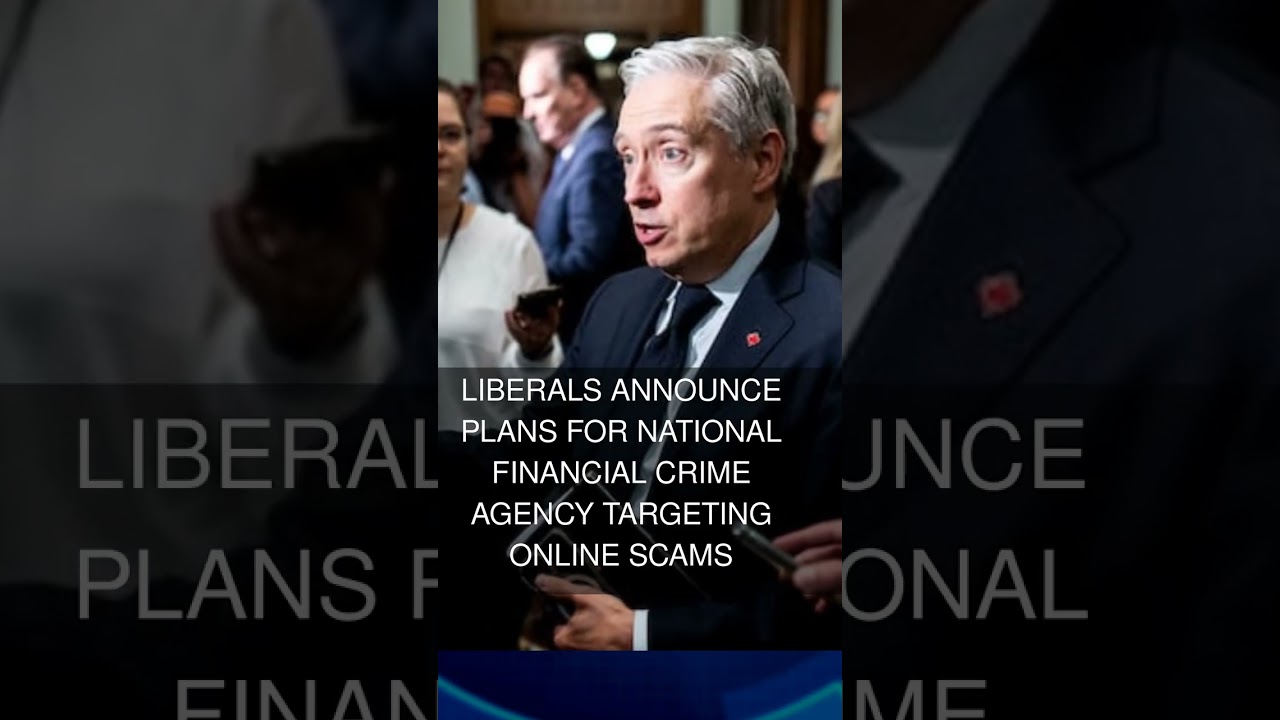Liberals announce plans for national financial crime agency targeting online scams