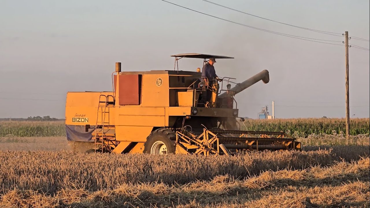 Bizon Z056 Super - Żniwa 2024