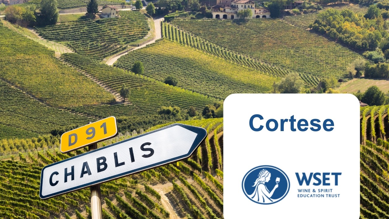 🇮🇹 Cortese : le Chablis italien ? | WSET 2 🍷