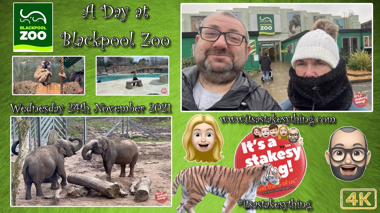 Blackpool Zoo | A day at the Zoo | 4K | #itsastakesything