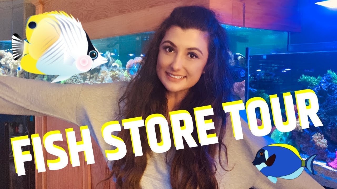 MASSIVE LOCAL FISH STORE TOUR!!