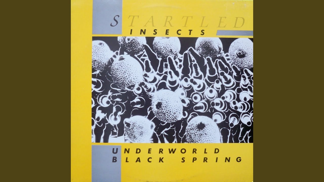 Black Spring