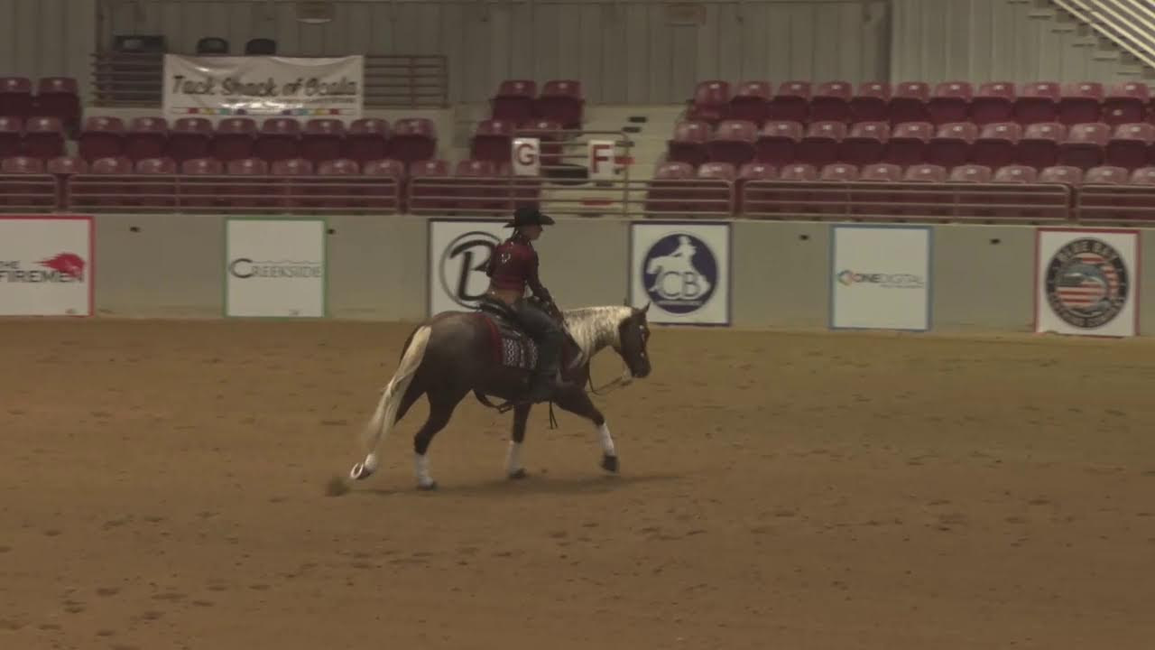 2026 Florida Reining Classic Indoor Arena Friday February 20